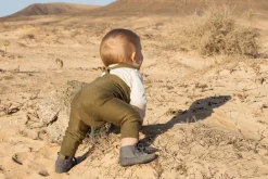 Arni><noscript><img width=