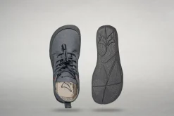 Arnidois><noscript><img width=