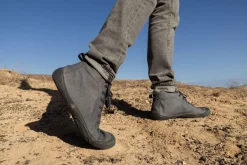 Arnidois><noscript><img width=