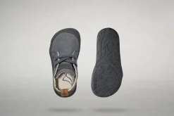 Arnidois><noscript><img width=