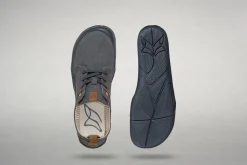 Arnow><noscript><img width=