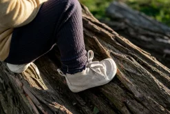 Arun><noscript><img width=