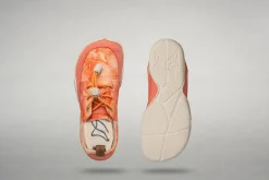 Borbo><noscript><img width=