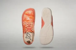 Borbo><noscript><img width=