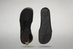 Canva ash><noscript><img width=