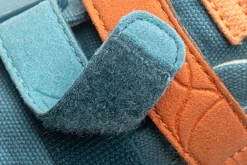 Cotinga><noscript><img width=