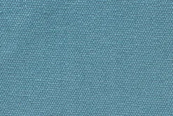 Cotinga><noscript><img width=