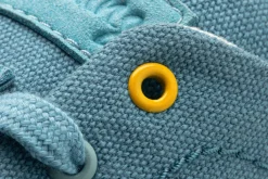 Cotinga><noscript><img width=