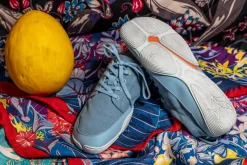 Cotinga><noscript><img width=