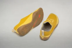 Cotinga><noscript><img width=