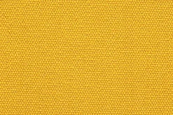 Cotinga><noscript><img width=