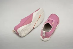 Cotinga><noscript><img width=