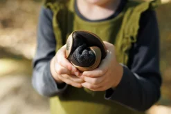 Emmer>Wildling Shoes Best