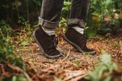 Faunus><noscript><img width=