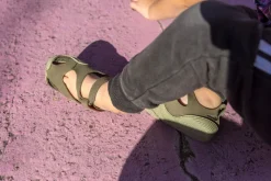 Feder><noscript><img width=