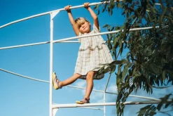 Feder><noscript><img width=