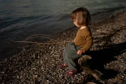 Feder><noscript><img width=