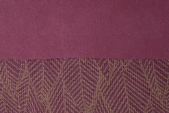 Feder><noscript><img width=