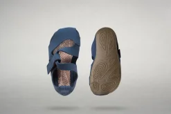 Feder><noscript><img width=