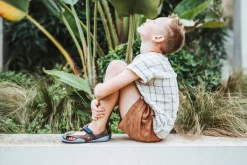 Feder><noscript><img width=