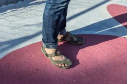 Feder><noscript><img width=