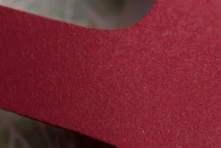 Feder><noscript><img width=