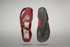 Feder><noscript><img width=