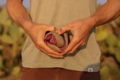 Feder>Wildling Shoes