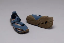 Feder><noscript><img width=