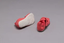 Feder><noscript><img width=