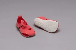 Feder><noscript><img width=