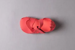 Feder><noscript><img width=