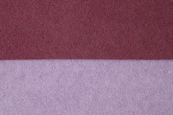 Feder><noscript><img width=