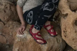 Feder><noscript><img width=