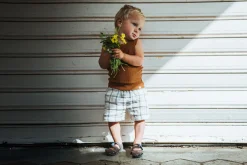 Feder><noscript><img width=