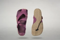 Feder><noscript><img width=