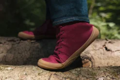 Filu><noscript><img width=