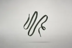 Flachsenkel><noscript><img width=