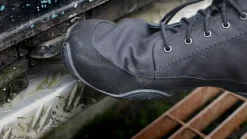 Flughund><noscript><img width=