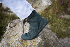 Haldy pinie><noscript><img width=