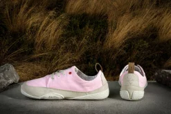 Hanami><noscript><img width=