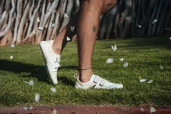 Junto><noscript><img width=