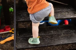 Lago><noscript><img width=