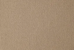 Marti><noscript><img width=