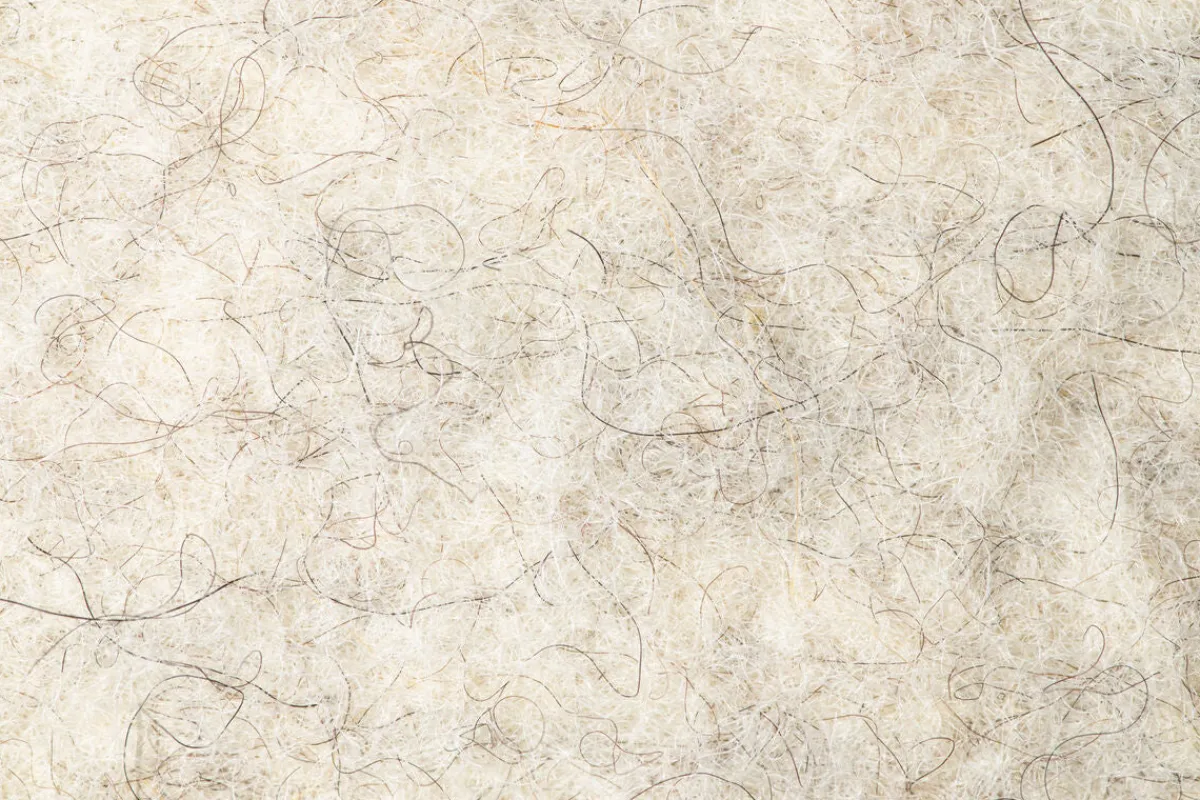 Nelus>Wildling Shoes