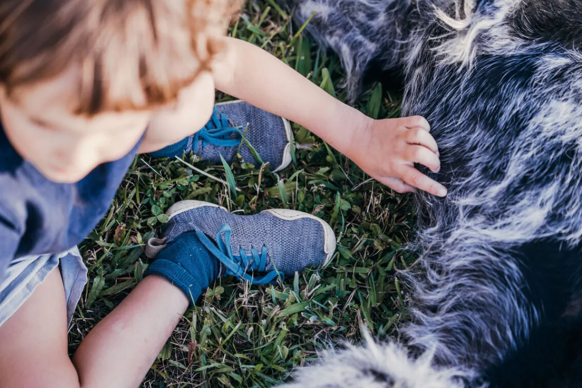 Nittugo>Wildling Shoes Sale