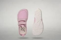 Prunus><noscript><img width=