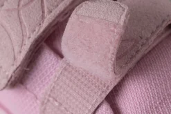 Prunus><noscript><img width=