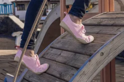 Prunus><noscript><img width=