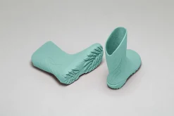 Ranidae><noscript><img width=